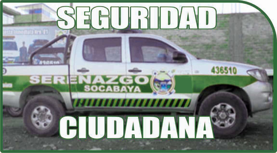 22seguridad ciudadana